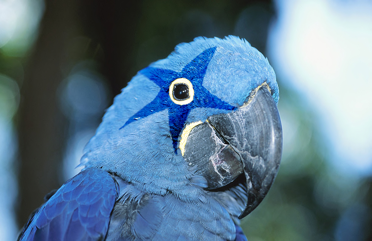 Photoshop Design by bicyclewilli for DesignCrowd (Community Contests) | Design #8962122