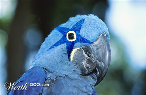 Photoshop Design by bicyclewilli