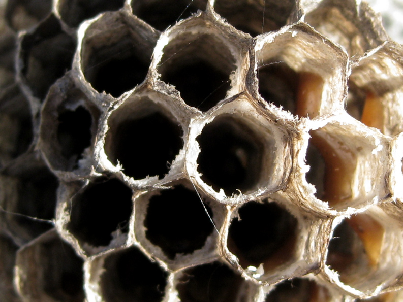 Photography by tattooholly for DesignCrowd (Community Contests) | Design #8955073