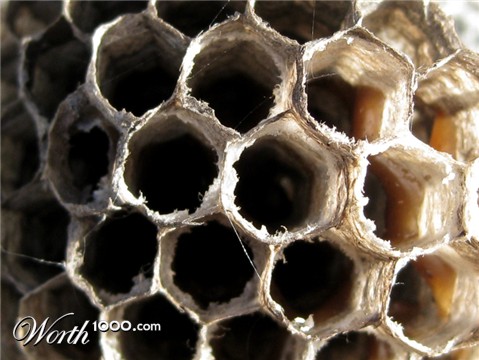 Photography by tattooholly