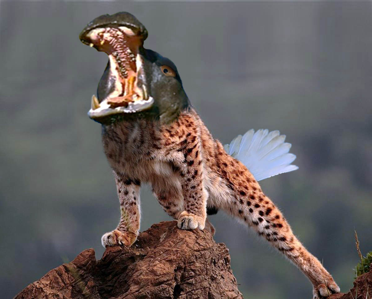 Design Photoshop par ariox222 pour DesignCrowd (Community Contests) | Design #8961066