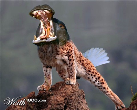 Photoshop Design by ariox222