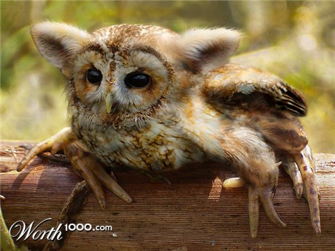 Photoshop Design by ilovekarate