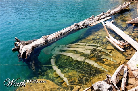 Photoshop Design by Dave0585