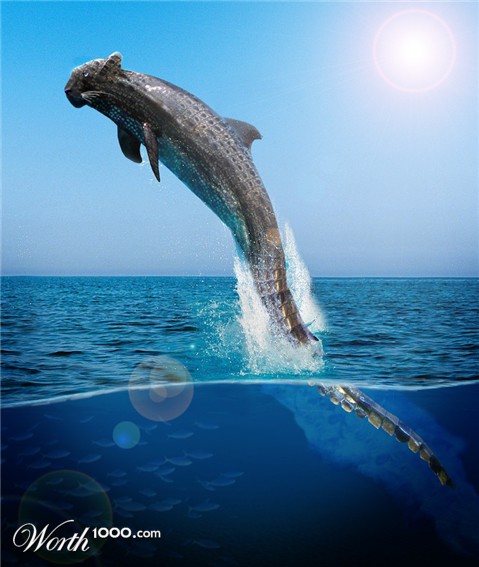 Photoshop Design by Kemuri