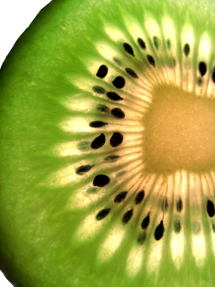 Fotografía por hollistereagle8 para DesignCrowd (Community Contests) | Diseño #8952887