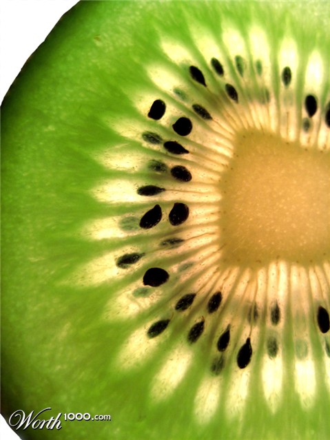 Photography by hollistereagle8