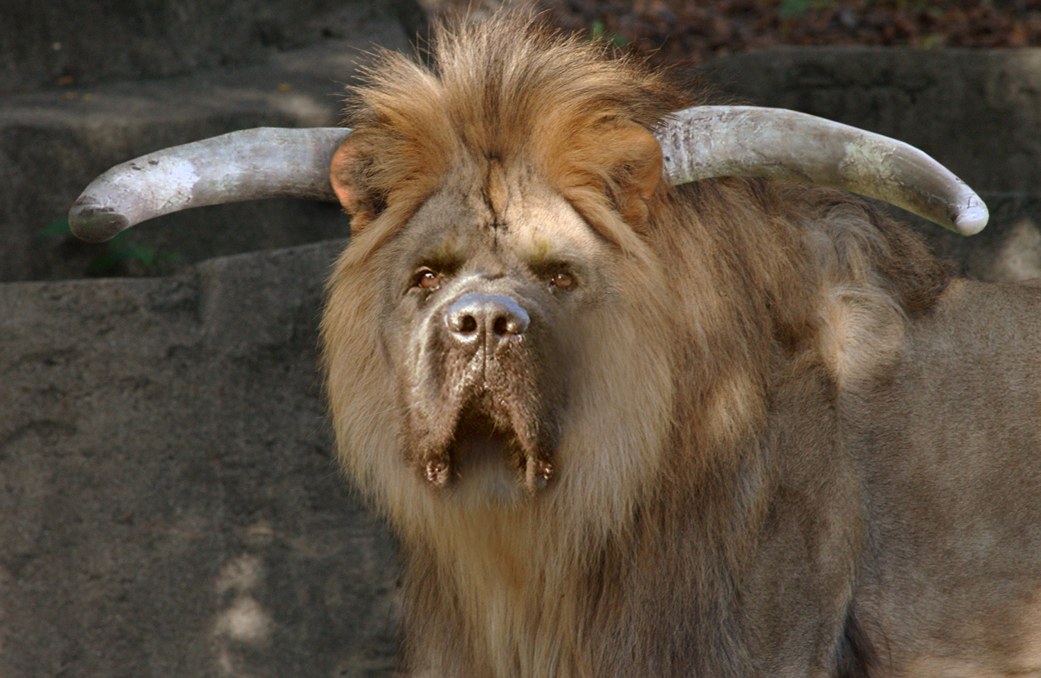 Diseño de Photoshop por don6123 para DesignCrowd (Community Contests) | Diseño #8961145