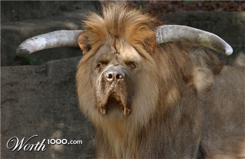 Photoshop Design by don6123