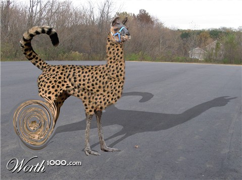 Photoshop Design by LamaGlama