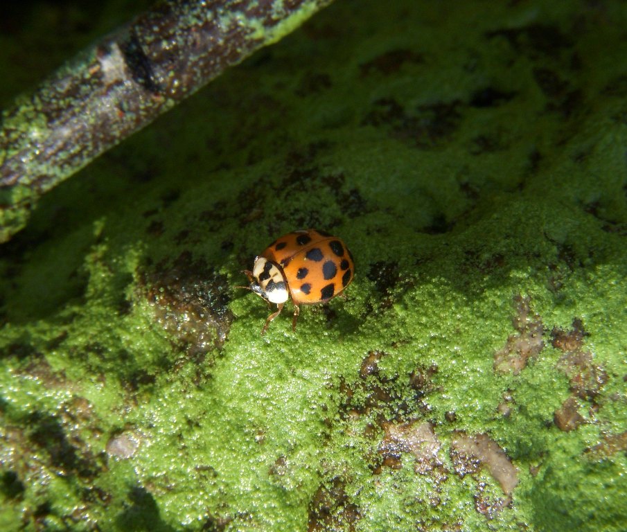 Photography by Sherbertsmoothy for DesignCrowd (Community Contests) | Design #8959716