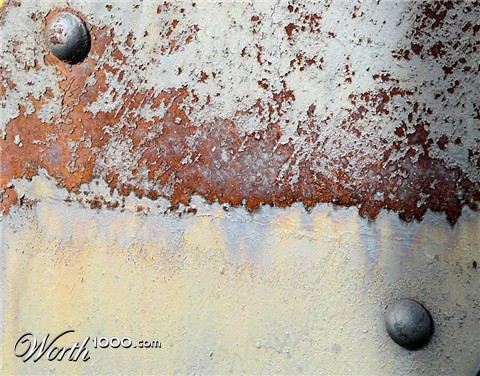 Photography by kimmee