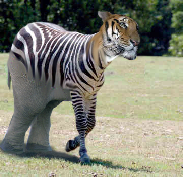 Photoshop-Design von biggaz09 für DesignCrowd (Community Contests) | Design #8961167