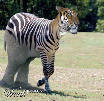 Photoshop Design by biggaz09