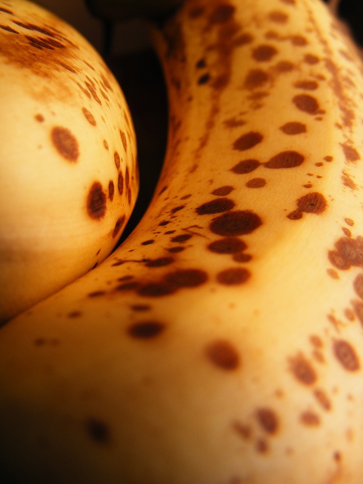 Photography by fujiellena for DesignCrowd (Community Contests) | Design #8952908