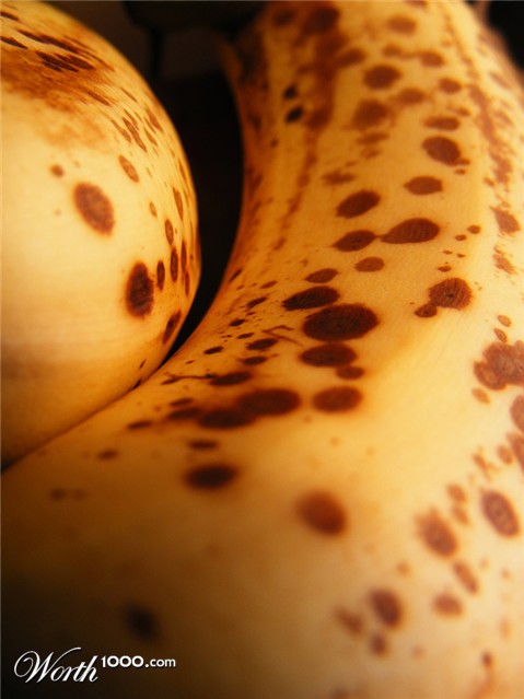 Photography by fujiellena