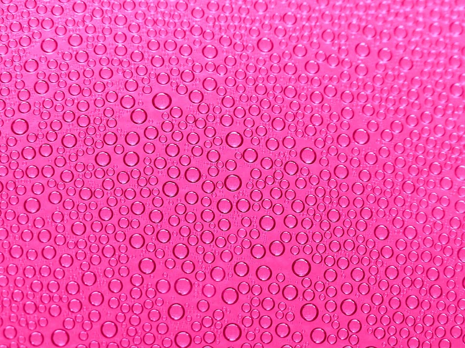 Photography by Woollysheep for DesignCrowd (Community Contests) | Design #8955078