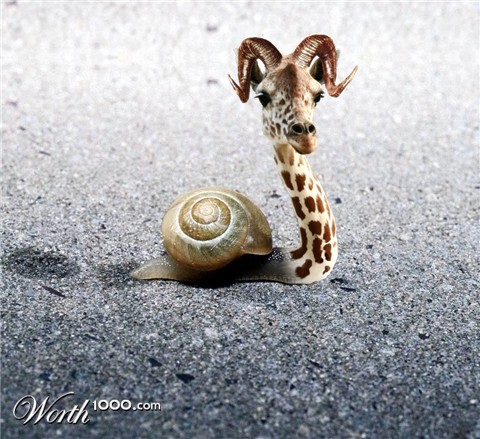 Photoshop Design by lotuseater