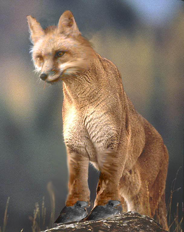 Design Photoshop par bond2don pour DesignCrowd (Community Contests) | Design #8961158