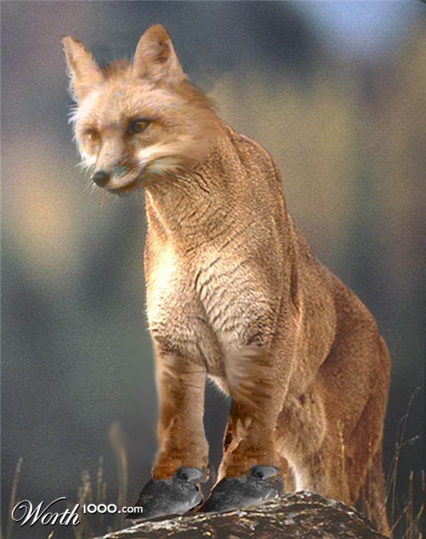 Photoshop Design by bond2don