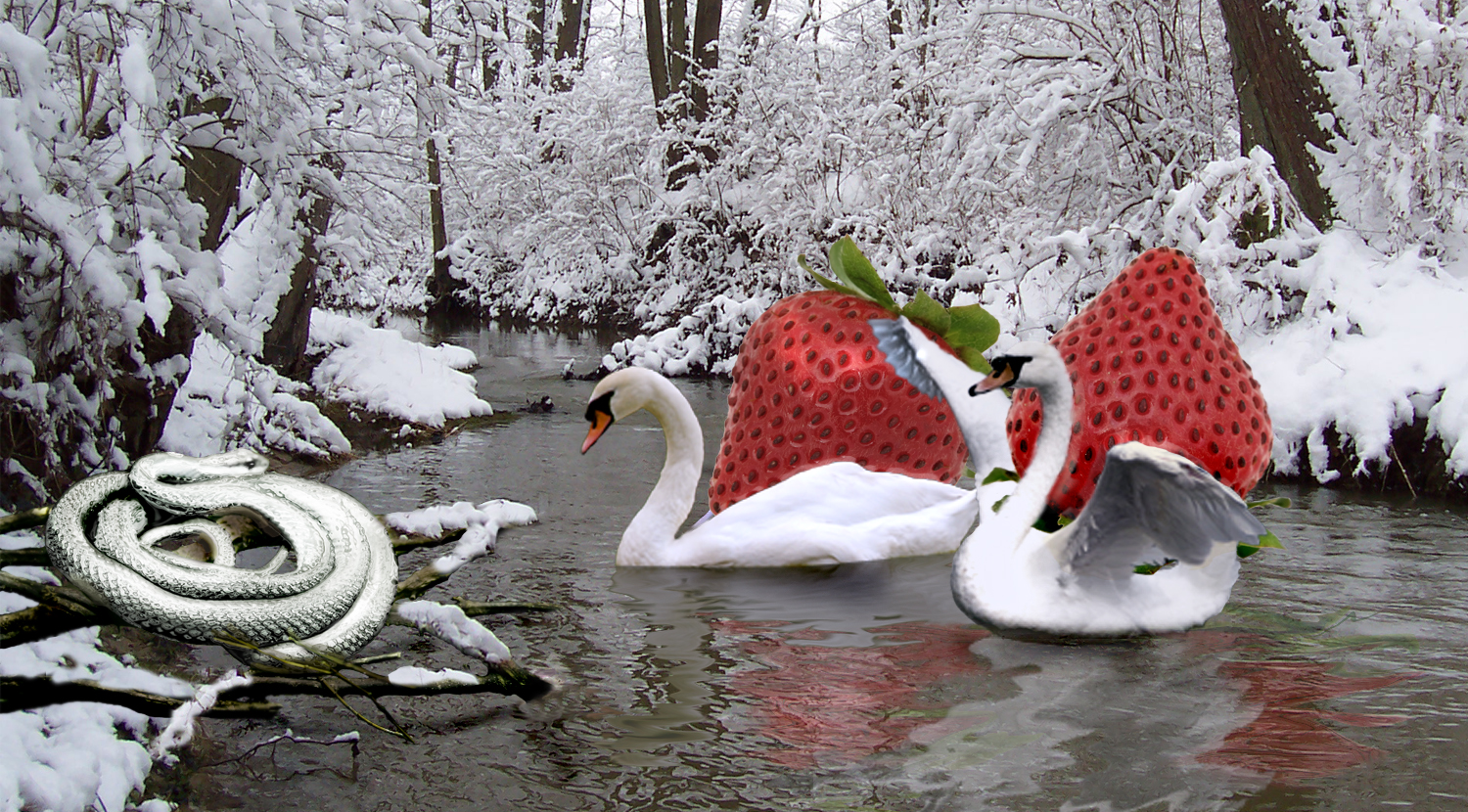 Diseño de Photoshop por KaettvonM para DesignCrowd (Community Contests) | Diseño #8961939