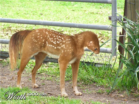 Photoshop Design by zsomeone