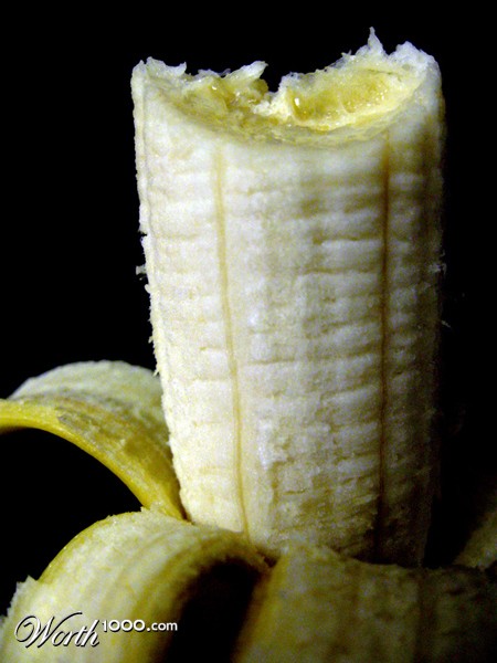 Photography by Zuezzo