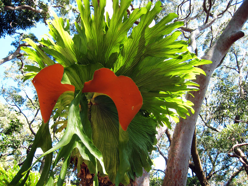 Fotografía por doobyschmo para DesignCrowd (Community Contests) | Diseño #8959736