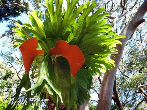 Photography by doobyschmo