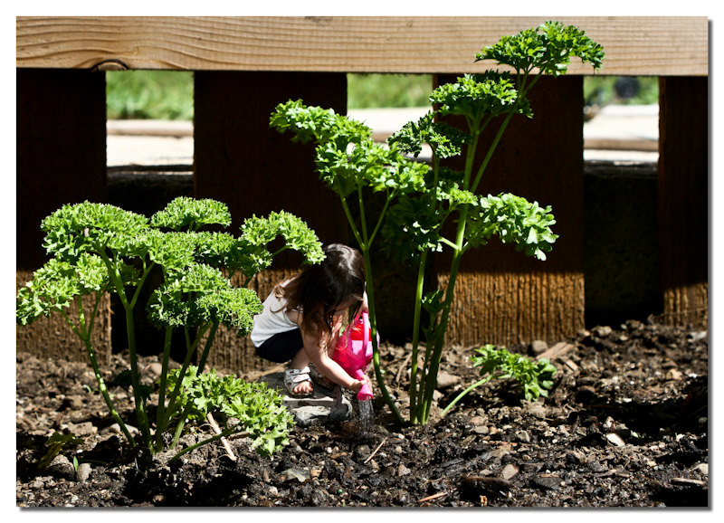 Photography by jasduc for DesignCrowd (Community Contests) | Design #8960749