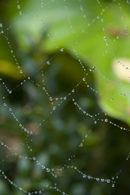 Fotografie von crea08 für DesignCrowd (Community Contests) | Design #8954507