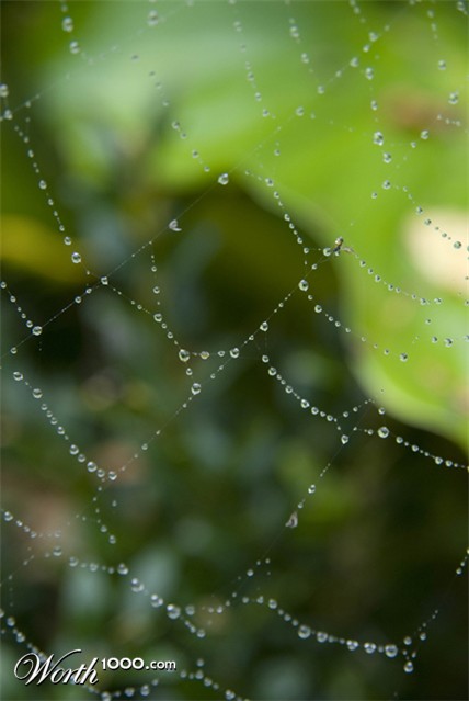 Photography by crea08