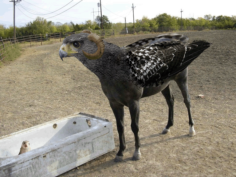 Photoshop-Design von Nusbaum für DesignCrowd (Community Contests) | Design #8961296