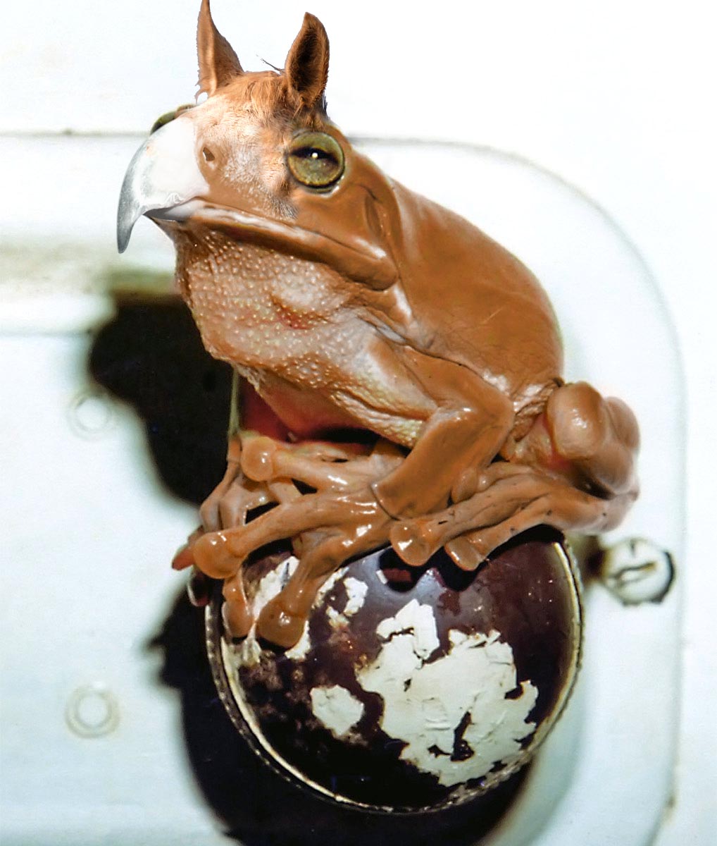 Photoshop Design by jerrylee17 for DesignCrowd (Community Contests) | Design #8961310