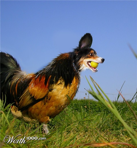 Photoshop Design by Laserloket