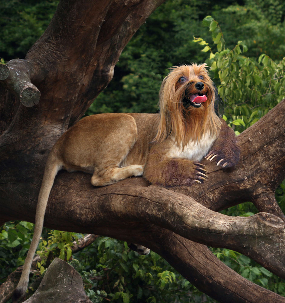 Photoshop-Design von kwize53 für DesignCrowd (Community Contests) | Design #8961223