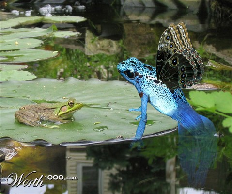Photoshop Design by ChumChumChum