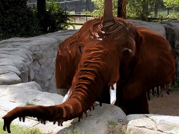 Photoshop Design by Galit109 for DesignCrowd (Community Contests) | Design #8962421