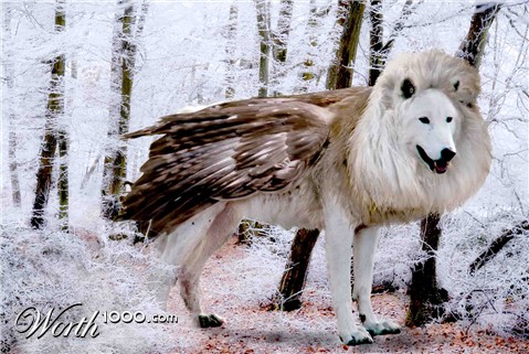 Photoshop Design by ahsayn