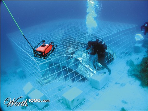 Photoshop Design by samkorni