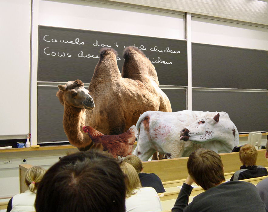 Photoshop Design by bicyclewilli for DesignCrowd (Community Contests) | Design #8961960