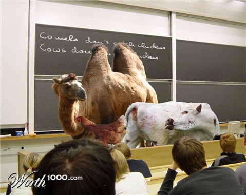 Photoshop Design by bicyclewilli