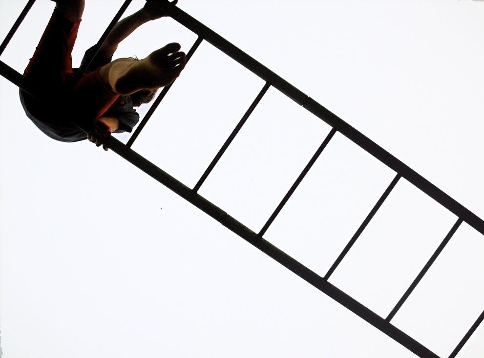 Photographie par dinosaur pour DesignCrowd (Community Contests) | Design #8957604