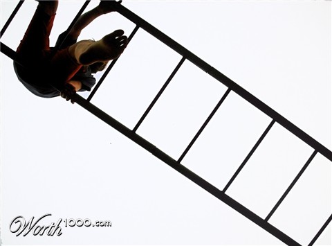 Photography by dinosaur