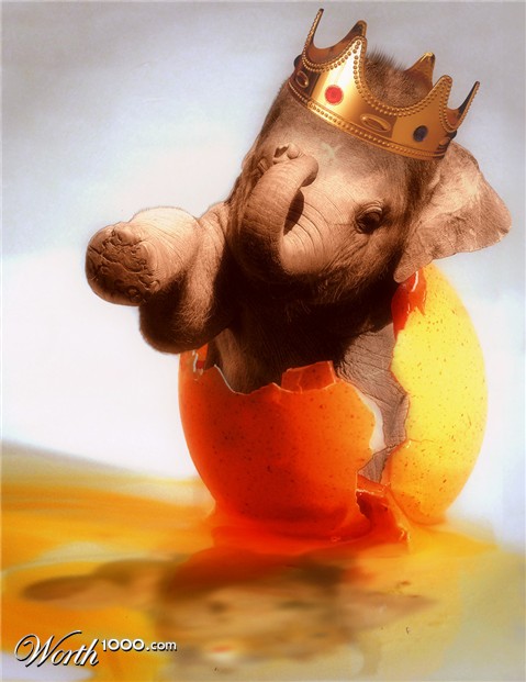 Photoshop Design by blu0range