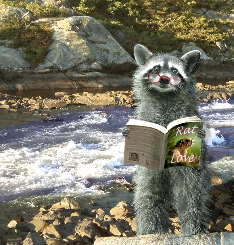 Design Photoshop par aards2 pour DesignCrowd (Community Contests) | Design #8961984