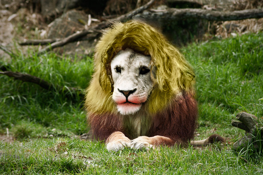 Photoshop Design by jinesh10 for DesignCrowd (Community Contests) | Design #8960582