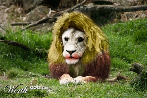 Photoshop Design by jinesh10