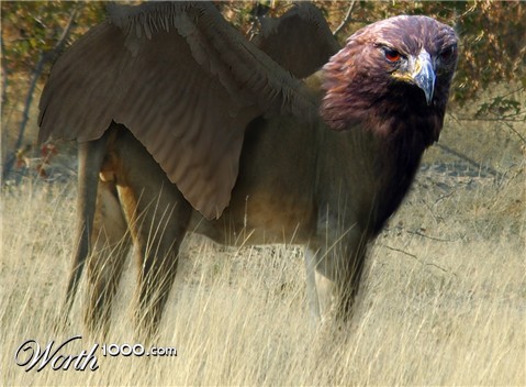 Photoshop Design by Zergoz