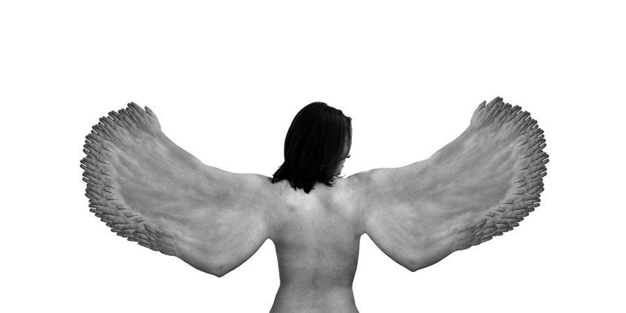 Photography by scotty2hotty for DesignCrowd (Community Contests) | Design #8960745